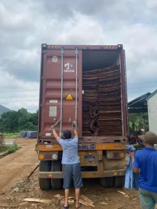 Acacia Core Plywood: A Comprehensive Buyer’s Guide to Vietnam’s Best-Value Grade