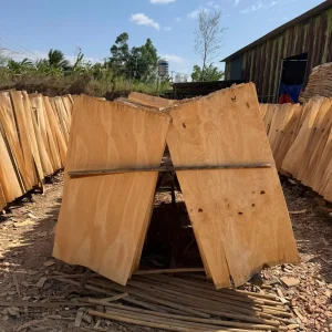 Eucalyptus Core Formwork: Achieving 15–20 Reuse Cycles vs. Acacia