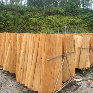 Eucalyptus Core Formwork: Achieving 15–20 Reuse Cycles vs. Acacia
