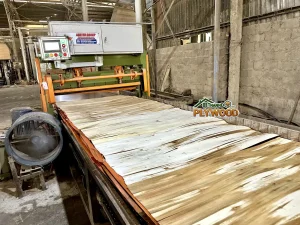 Vietnam Plywood Manufacturing Process: A Comprehensive Factory Guide
