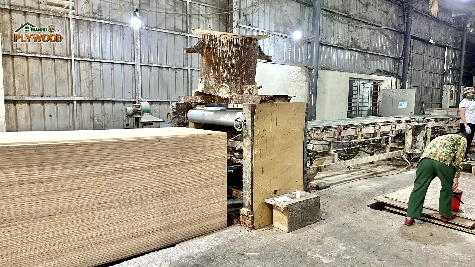 Plywood Adhesive Systems & Emission Standards: Decoding MR, WBP, and E0/E1/E2