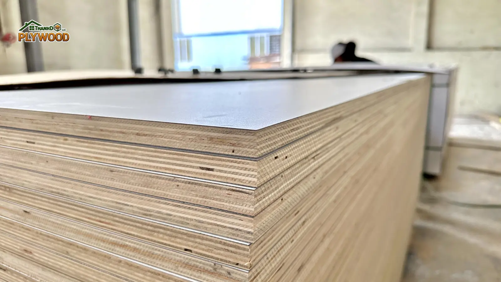 Why Vietnamese Plywood is Dominating the European Market