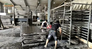 Vietnam Construction Plywood: Film-Faced Formwork, Anti-Slip, and Structural Flooring