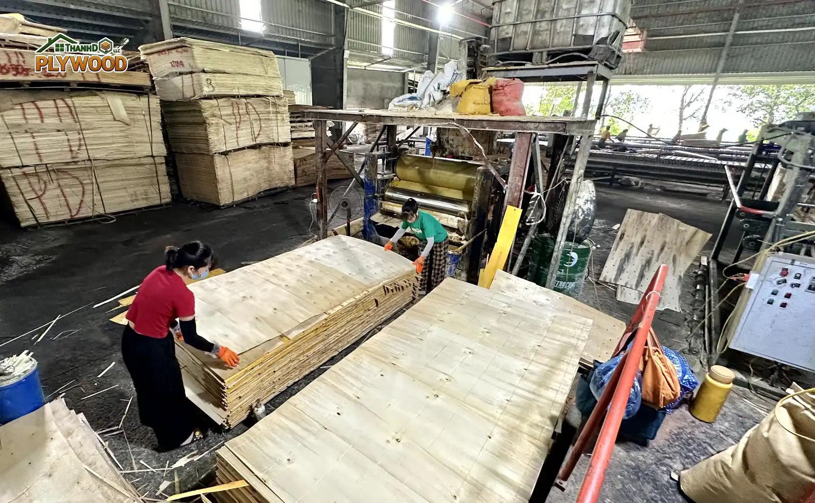 Plywood Adhesive Systems & Emission Standards: Decoding MR, WBP, and E0/E1/E2