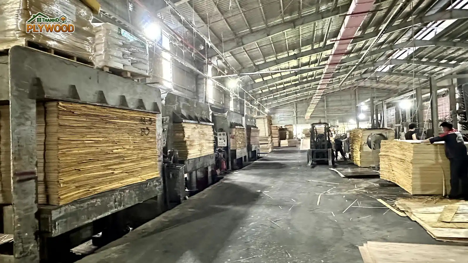 Plywood Adhesive Systems & Emission Standards: Decoding MR, WBP, and E0/E1/E2