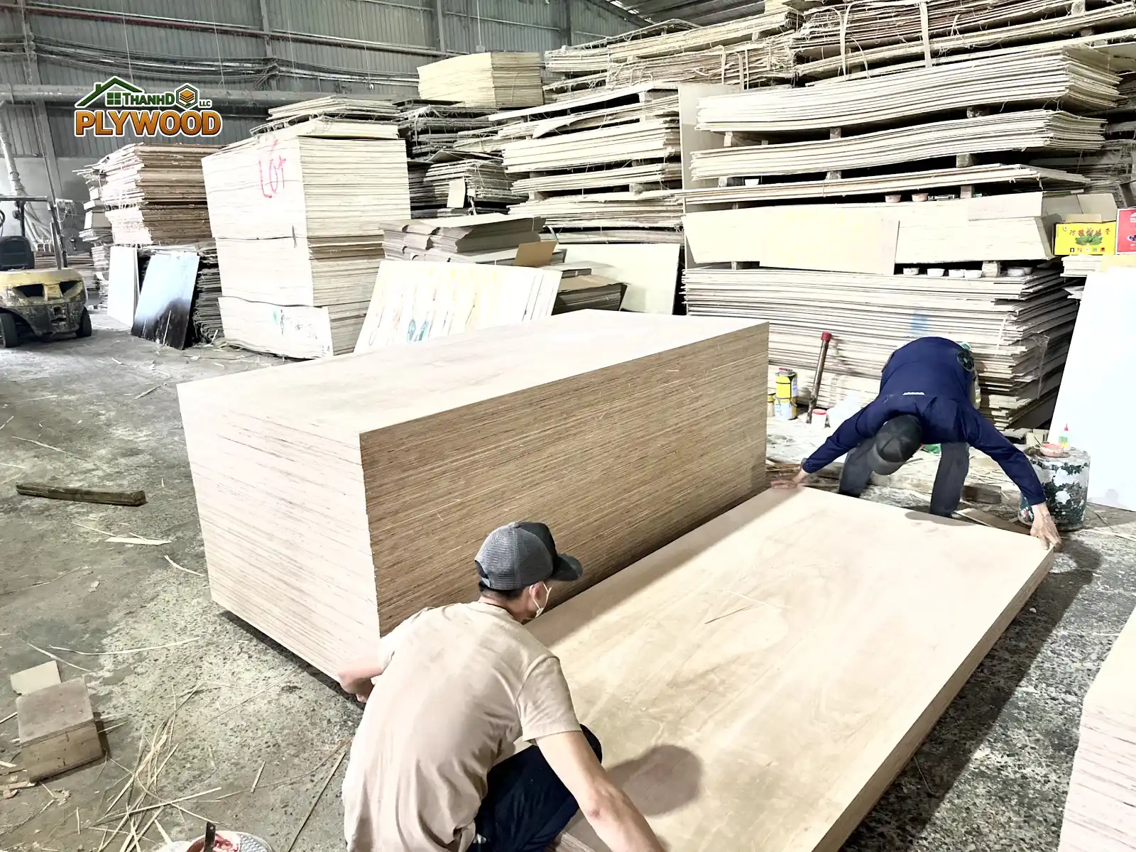 Plywood Adhesive Systems & Emission Standards: Decoding MR, WBP, and E0/E1/E2
