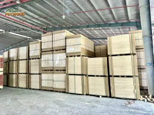Vietnam Plywood Manufacturing Process: A Comprehensive Factory Guide